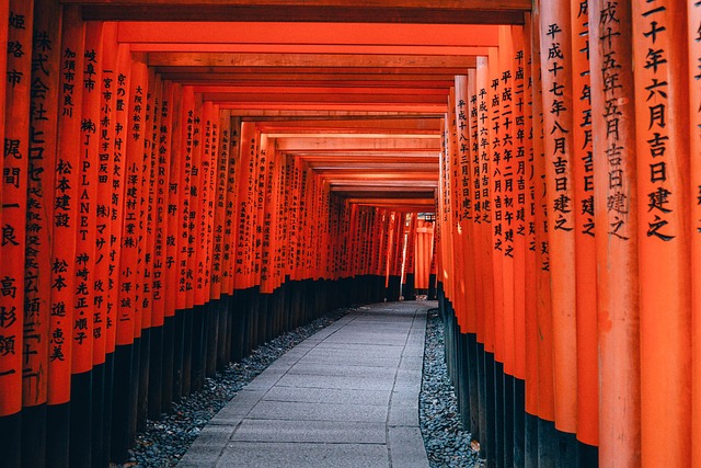 kyoto+cityscape+architecture